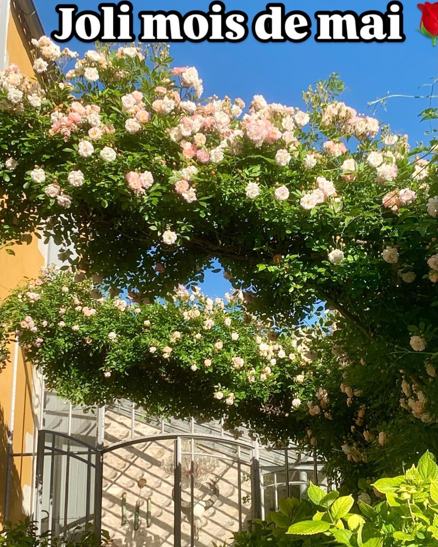 Chambres D'Hotes La Borderie Du Go Pres De La Rochelle - Nieul Buitenkant foto